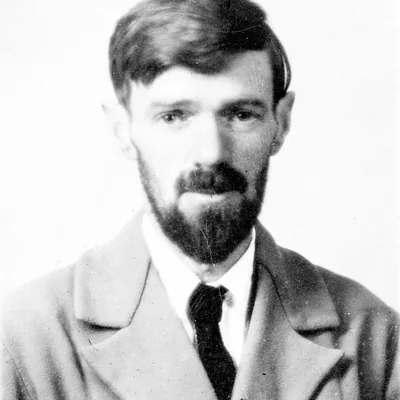 D. H. Lawrence