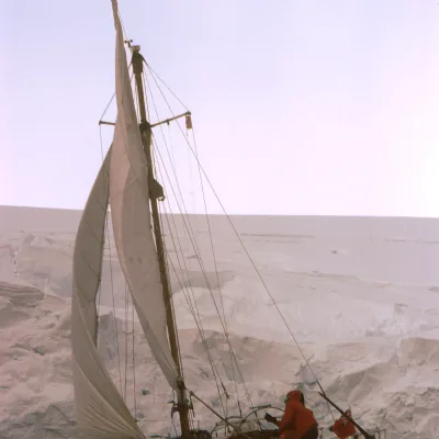 David Lewis