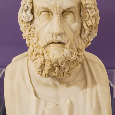 Homer