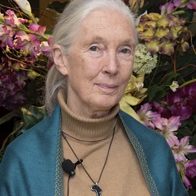 Jane Goodall