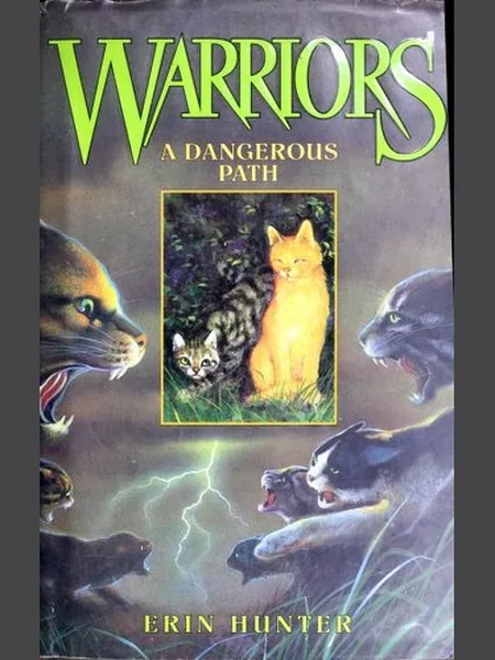 A Dangerous Path cover
