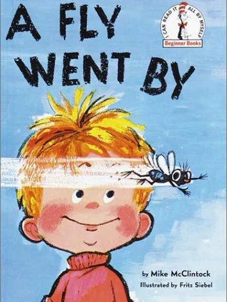 A Fly Went by cover