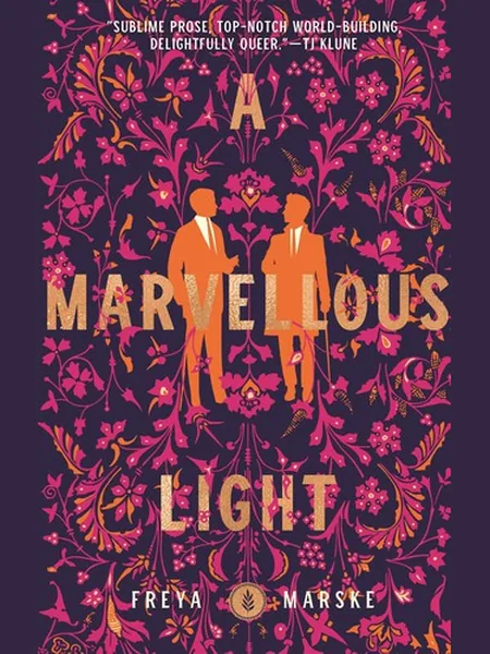 A Marvellous Light cover