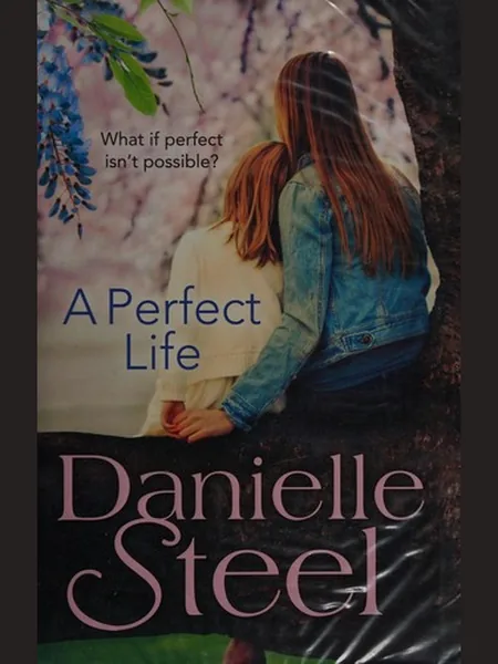 A Perfect Life cover, Bantam Books 2014
