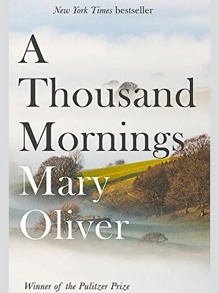 A Thousand Mornings cover