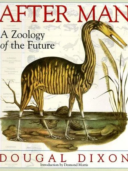 After Man cover