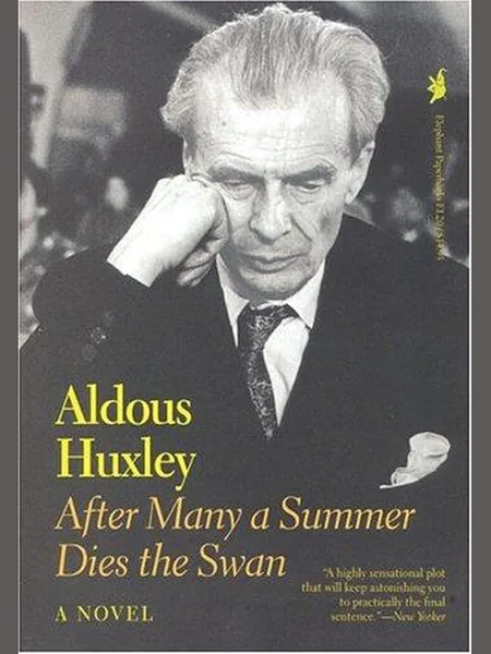 After Many a Summer cover