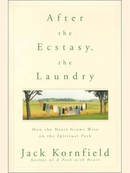 After the Ecstasy, the Laundry cover