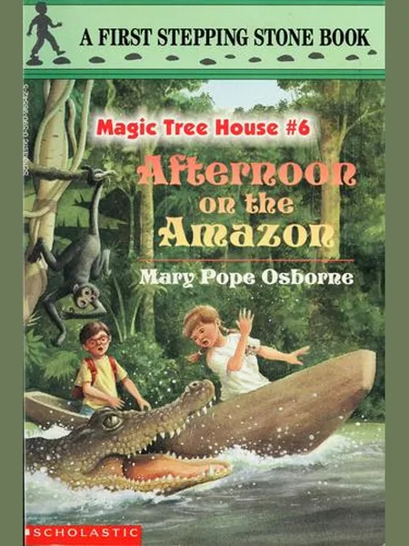 Afternoon on the Amazon cover