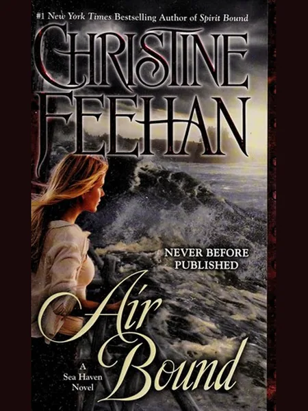 Air Bound first edition cover, Penguin Books 2014
