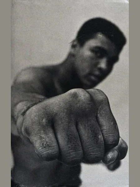 Ali cover