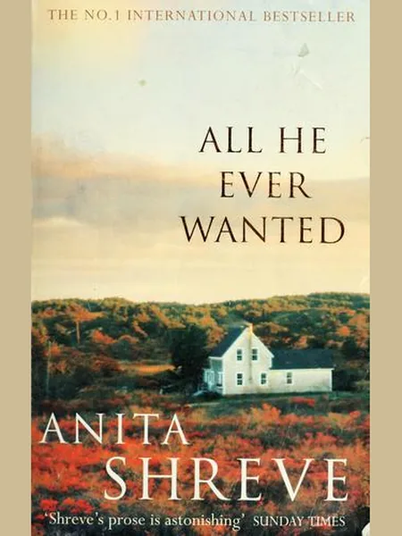 All He Ever Wanted cover