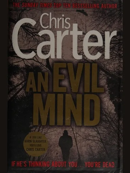 An Evil Mind cover