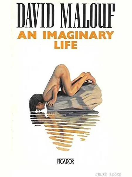 An Imaginary Life cover