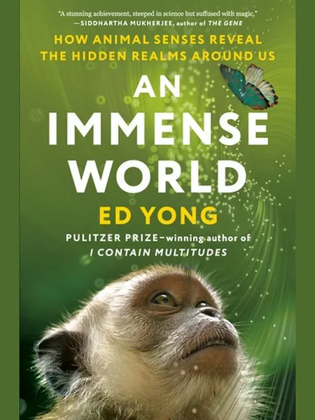An Immense World cover