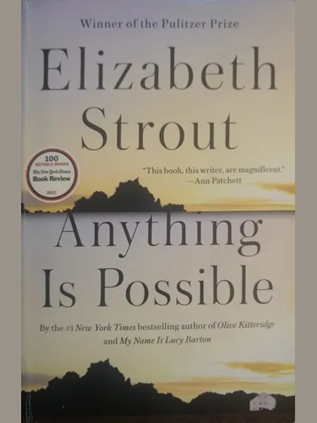 Anything Is Possible cover