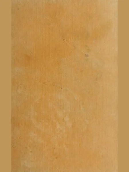 Aurora cover
