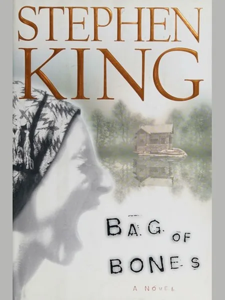 Bag of Bones cover
