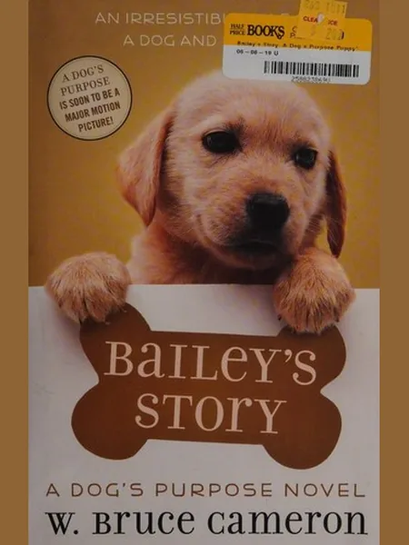 Bailey's Story cover