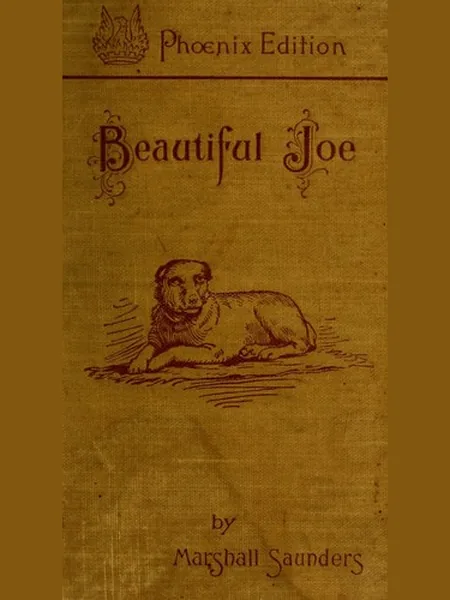 Beautiful Joe cover