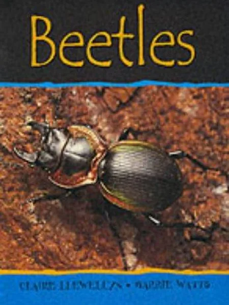Beetles (Minibeasts), cover of another edition (the Franklin Watts 2002 cover is not yet photographed)