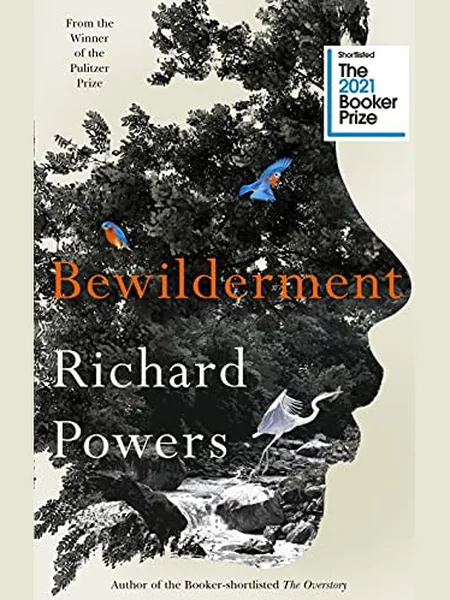Bewilderment cover