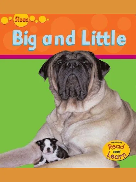 Big And Small first edition cover, Heinemann 2005