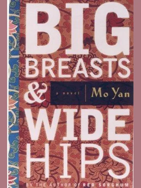 Big Breasts & Wide Hips cover