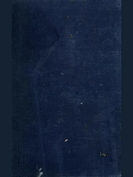 Black Amber cover