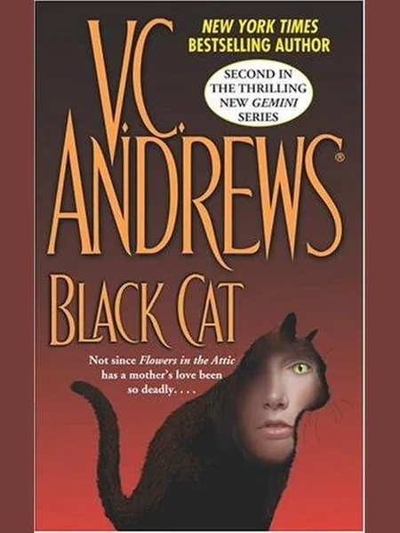 Black Cat cover