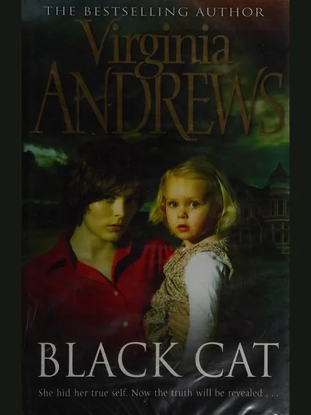 Black Cat cover, Simon & Schuster 2006