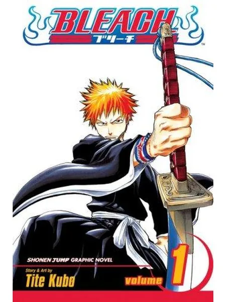 Bleach, Volume 1 cover