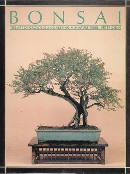 Bonsai cover