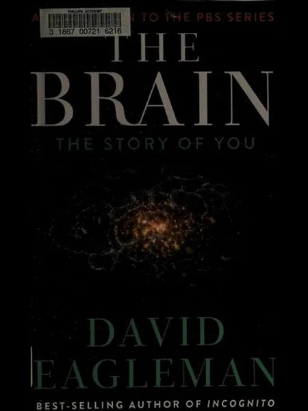 Brain cover