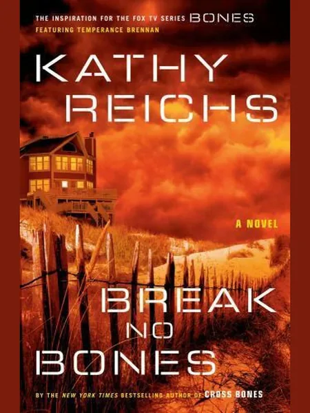 Break No Bones cover