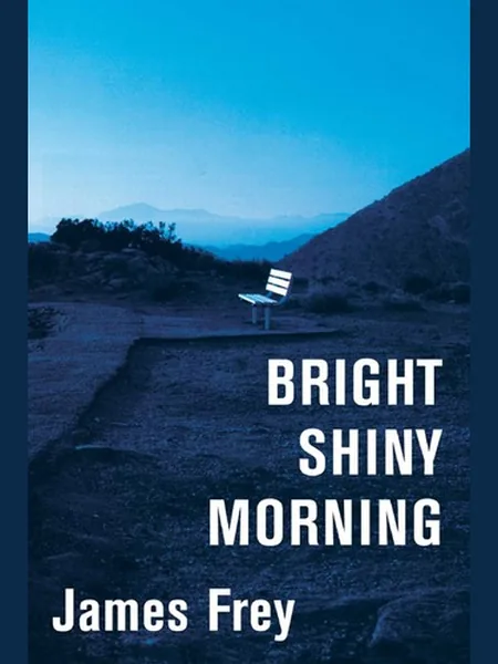 Bright Shiny Morning cover