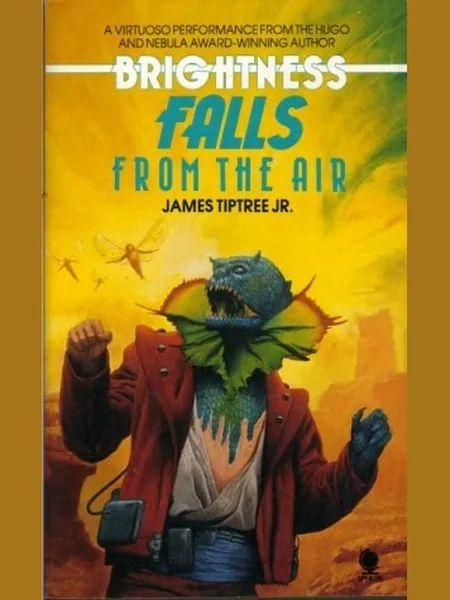 Brightness Falls from the Air cover
