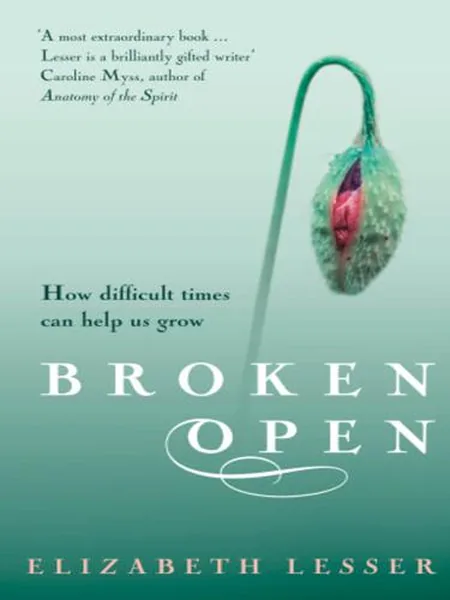 Broken Open cover