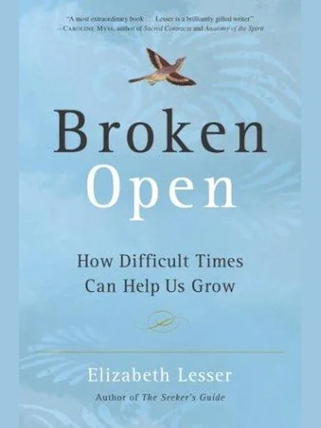 Broken Open cover