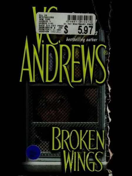 Broken Wings cover