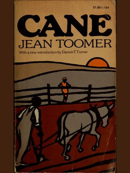 Cane cover