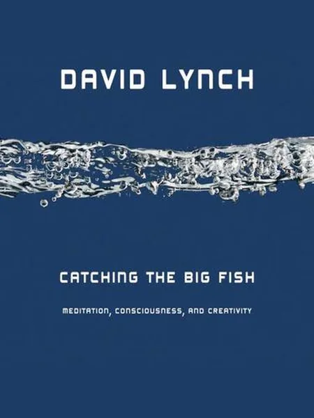 Catching the Big Fish cover