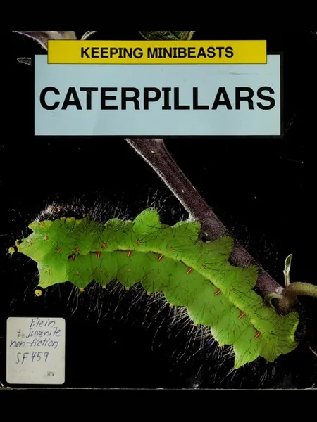 Caterpillars (Keeping Minibeasts) cover