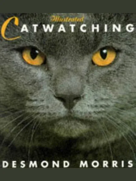 Catwatching cover