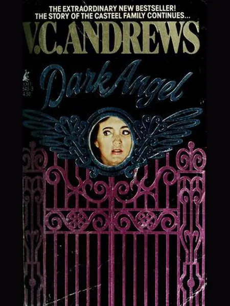 Dark Angel cover