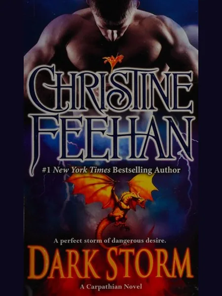 Dark Storm cover