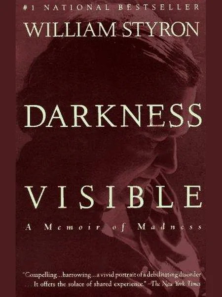 Darkness Visible cover