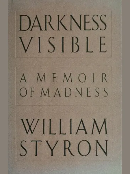 Darkness Visible cover