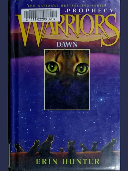 Dawn cover