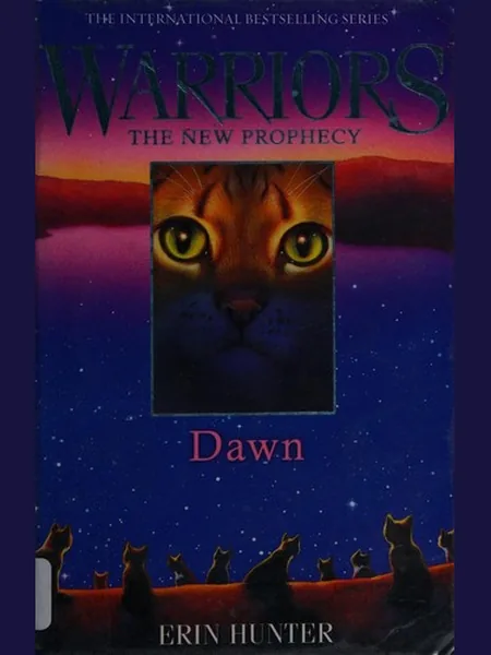 Dawn cover